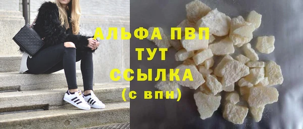 ГАЛЛЮЦИНОГЕННЫЕ ГРИБЫ Пересвет