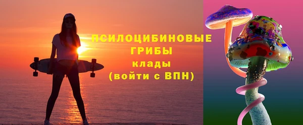 тгк Пестово