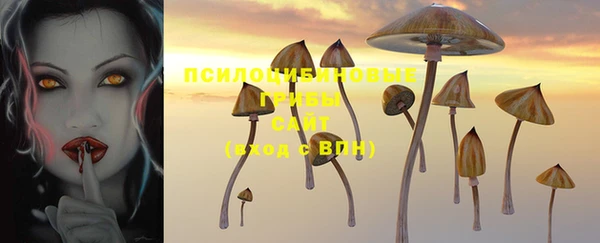 ГАЛЛЮЦИНОГЕННЫЕ ГРИБЫ Пересвет