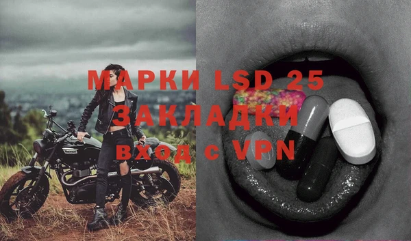 ГАЛЛЮЦИНОГЕННЫЕ ГРИБЫ Пересвет