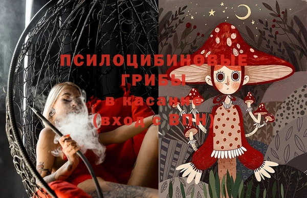 экстази Переславль-Залесский
