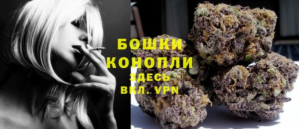 ГАЛЛЮЦИНОГЕННЫЕ ГРИБЫ Пересвет