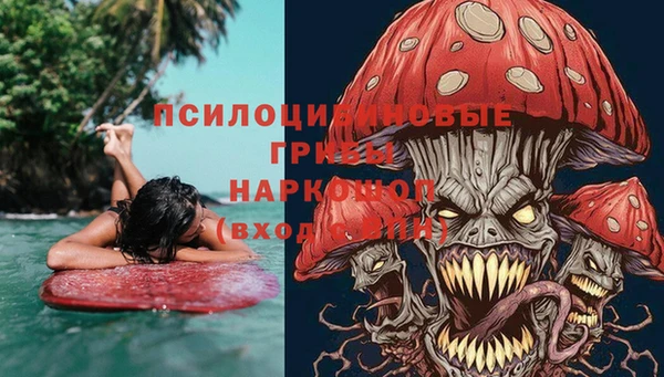 тгк Пестово