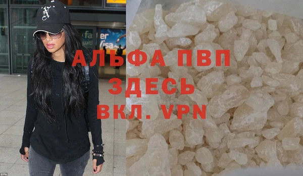 ГАЛЛЮЦИНОГЕННЫЕ ГРИБЫ Пересвет