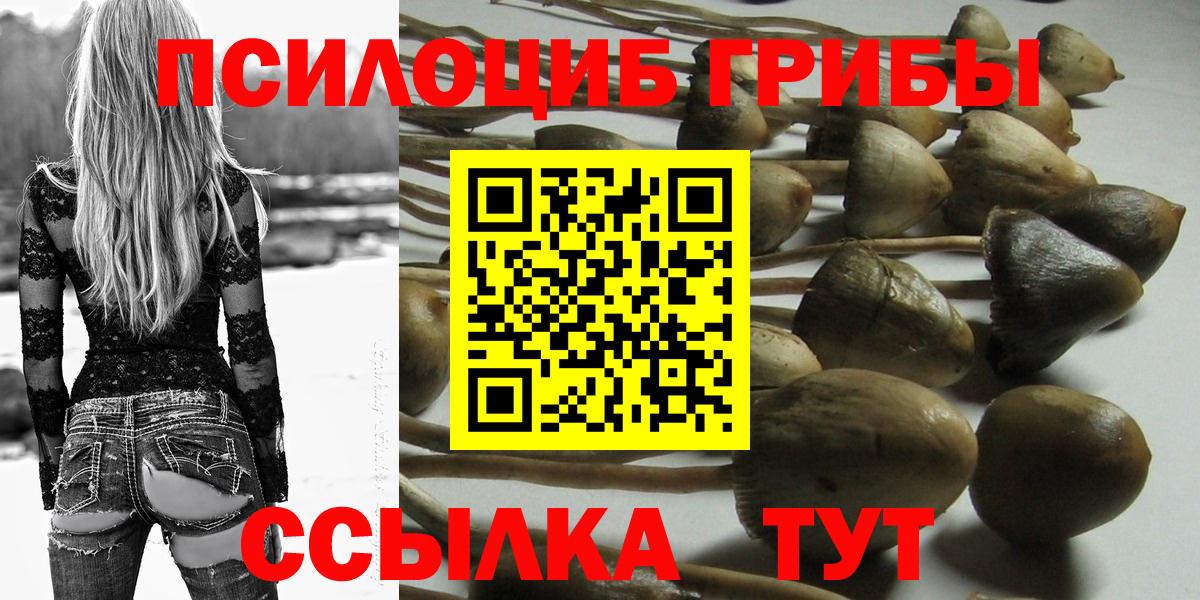 Среднеуральск  Галлюциногенные грибы Psilocybe  Вход с VPN 